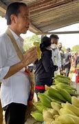 Jokowi Makan Jagung Rebus